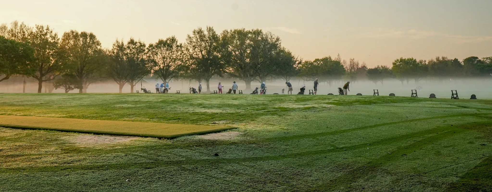 Section Background Image